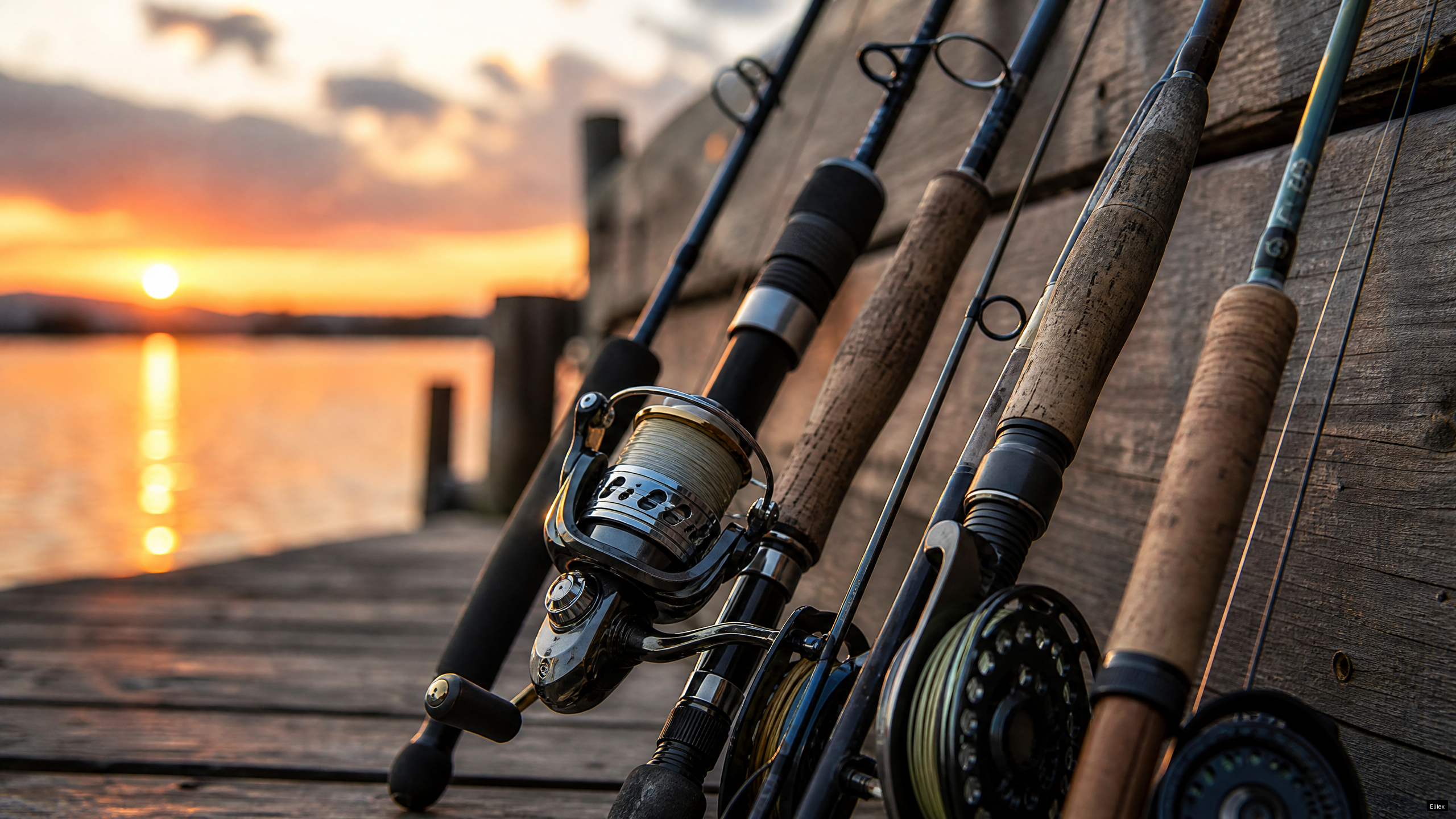 The Complete Fishing Rod Guide to Choosing the Right