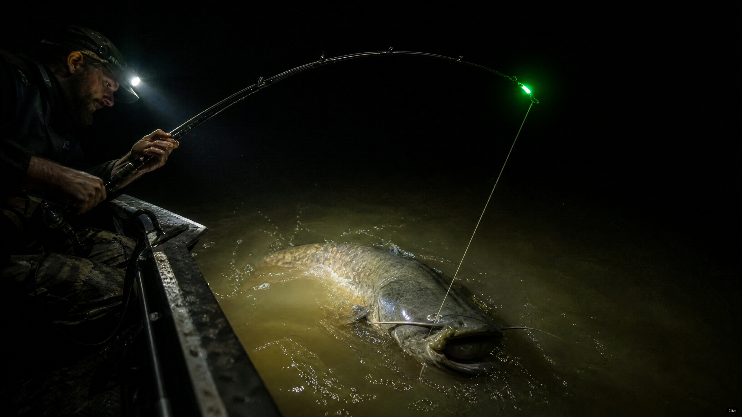 Catfish Fishing Guide